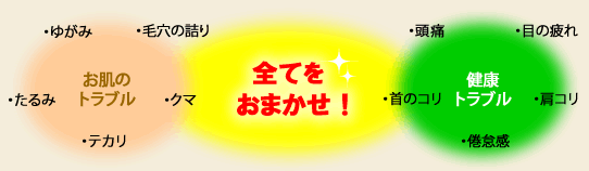 全てをお任せ