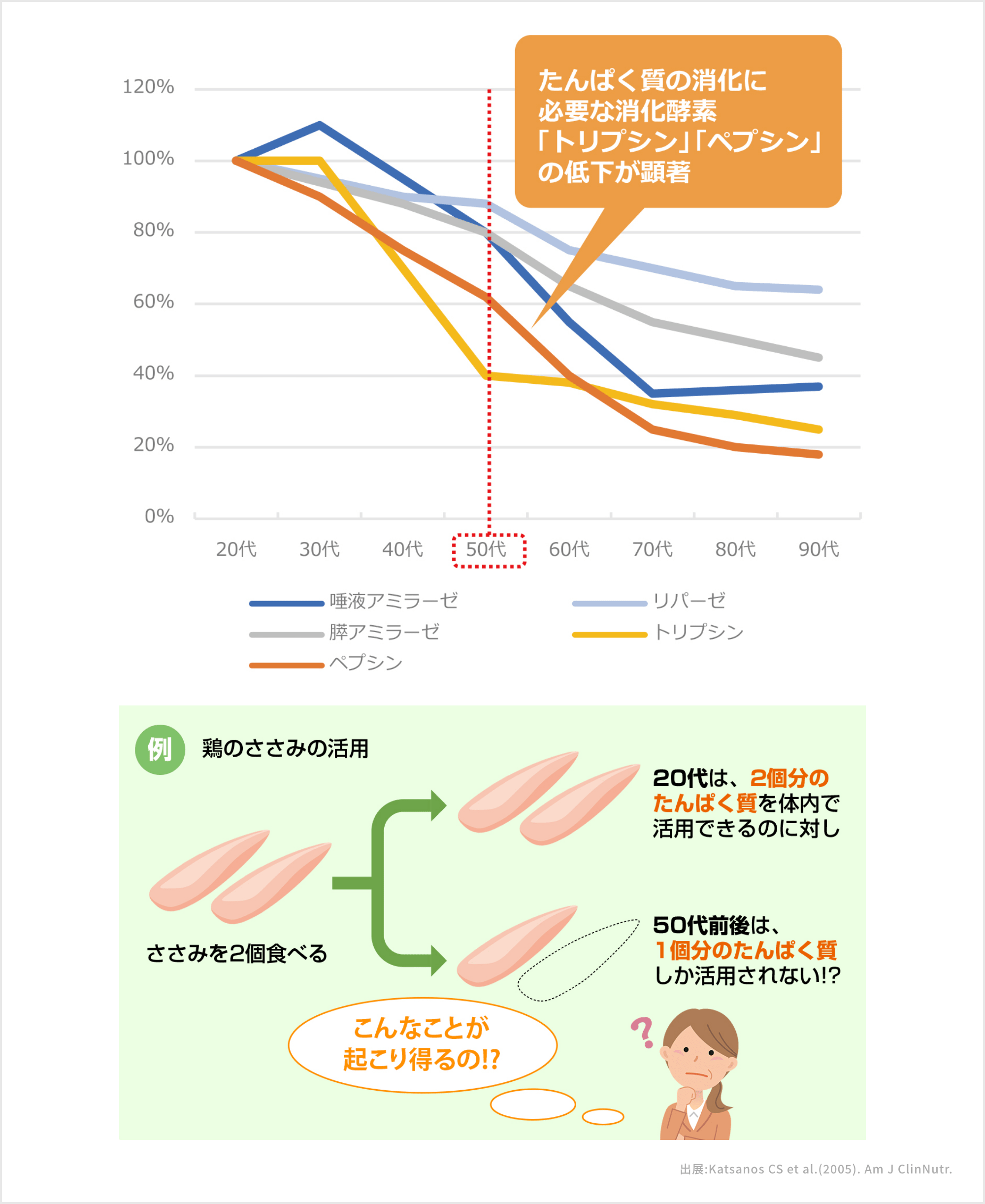年代別消化酵素活性変化